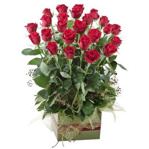 2 Dozen Rose Garden