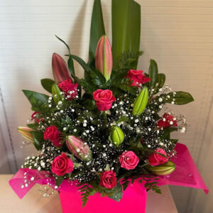 Modern Pinks